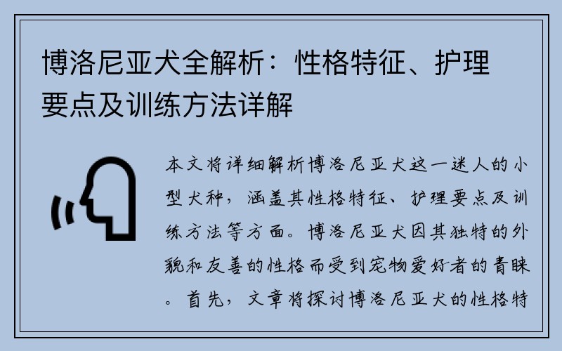 博洛尼亚犬全解析：性格特征、护理要点及训练方法详解