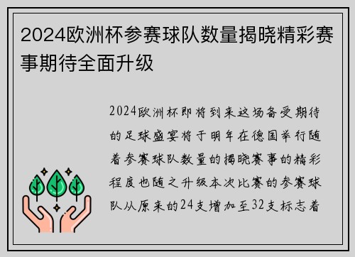 2024欧洲杯参赛球队数量揭晓精彩赛事期待全面升级